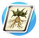 Mandrake from Harry Potter