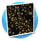 Small yellow floral wallpaper