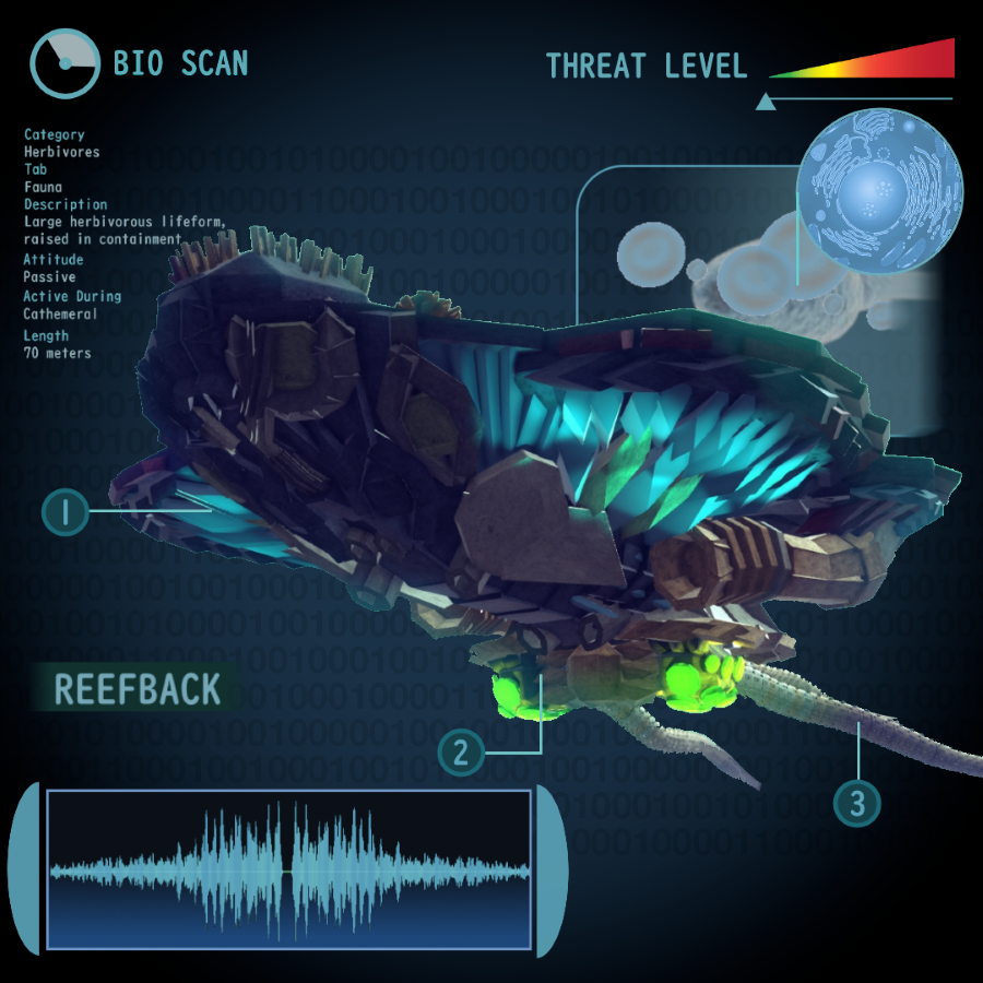 Reefback