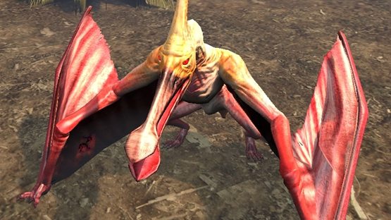 Roseate Ptera & Spoonbill Ptera Mutation