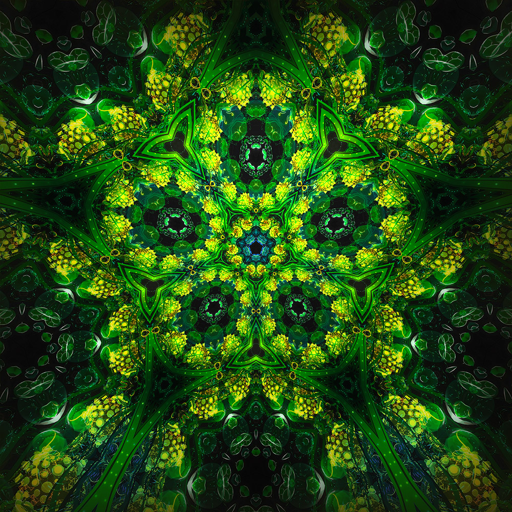 Gaea's Harbinger