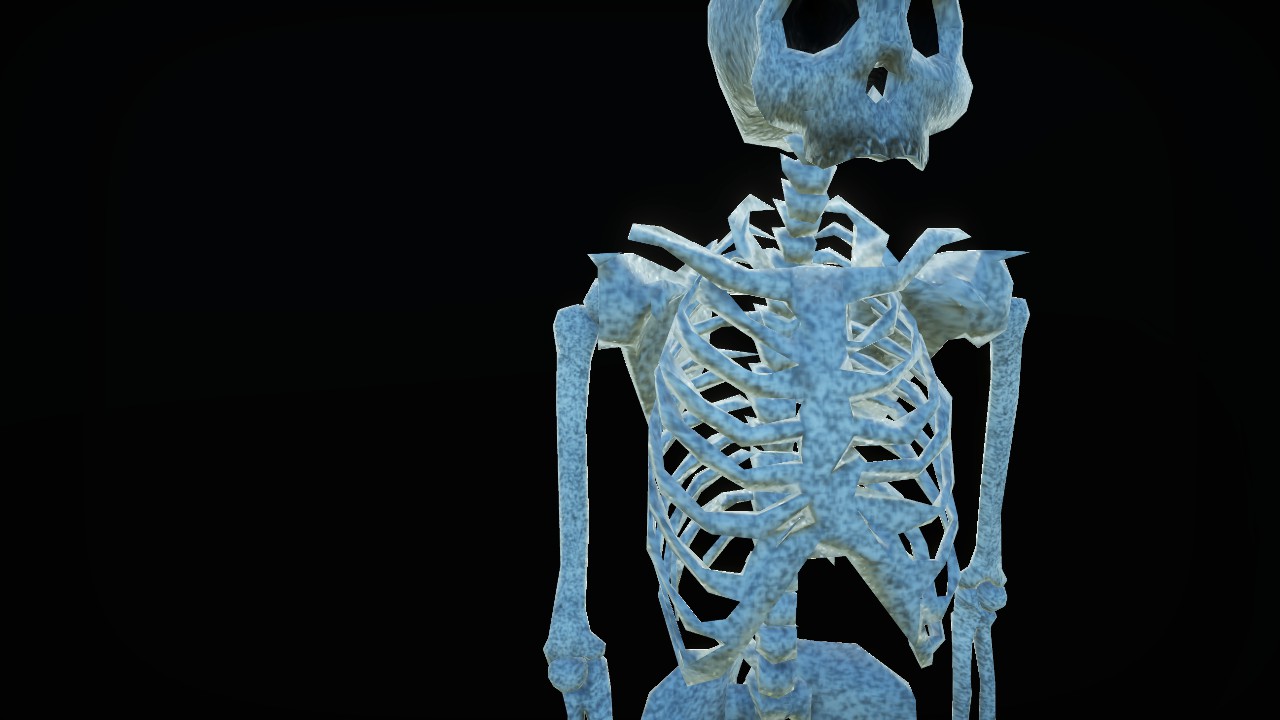 Stone Skeleton - Torso