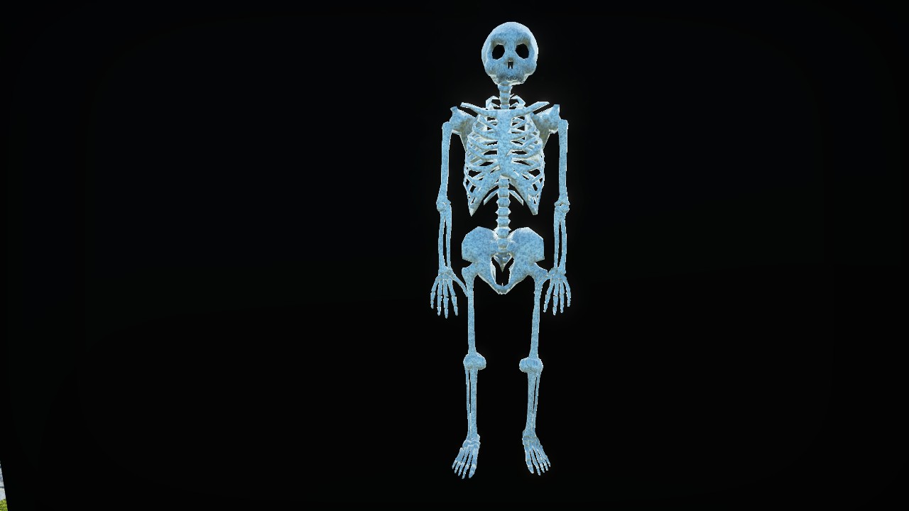 Stone Skeleton - Left Foot