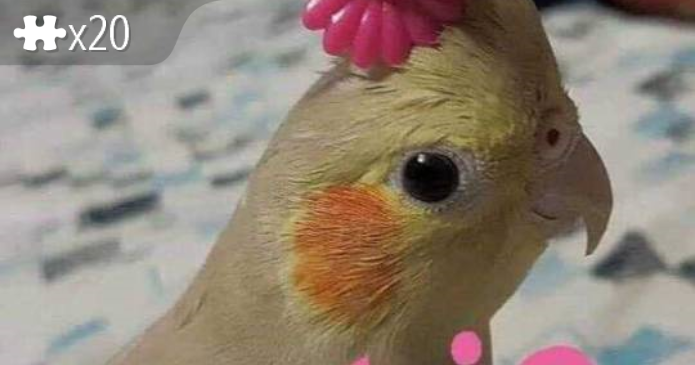 Birbie