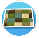Carpet 2