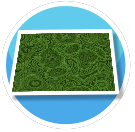 Green Flowery