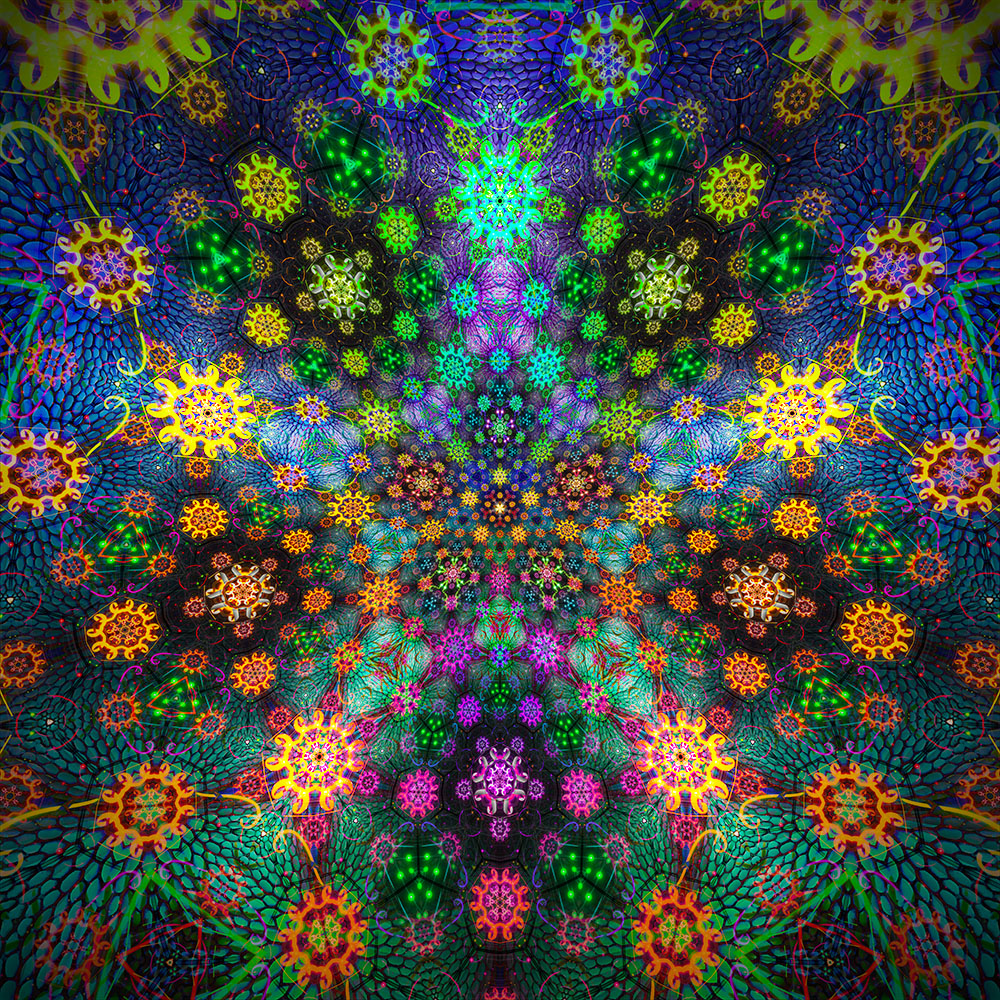Flower Power - 2025 A.D.