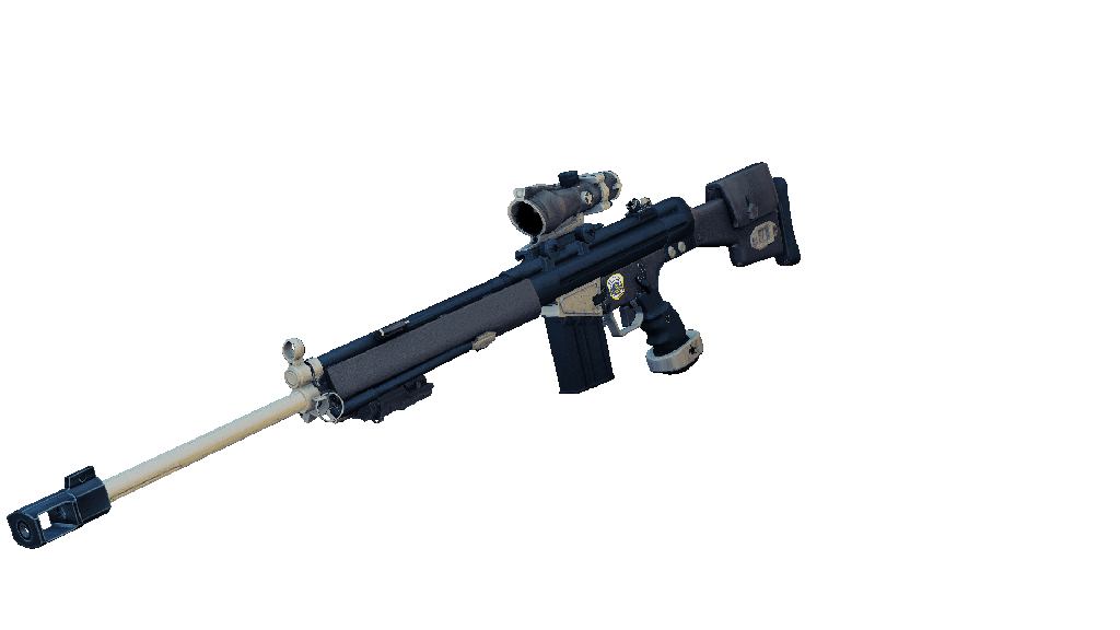 Gewehr 3 Rifle | DC's Finest