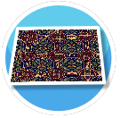 Fancy Carpet 3