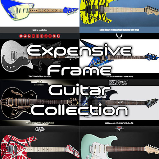 Expensive Frame Guitar Pics