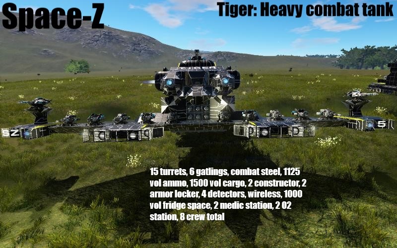 Tiger 20