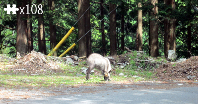 Encounter
