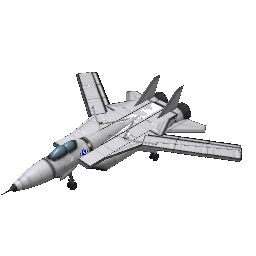 F-14 Tomcat