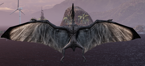Pacific Blacktip Ptera   ***Free Drop***
