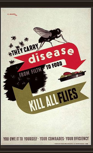 Kill all flies Health PSA