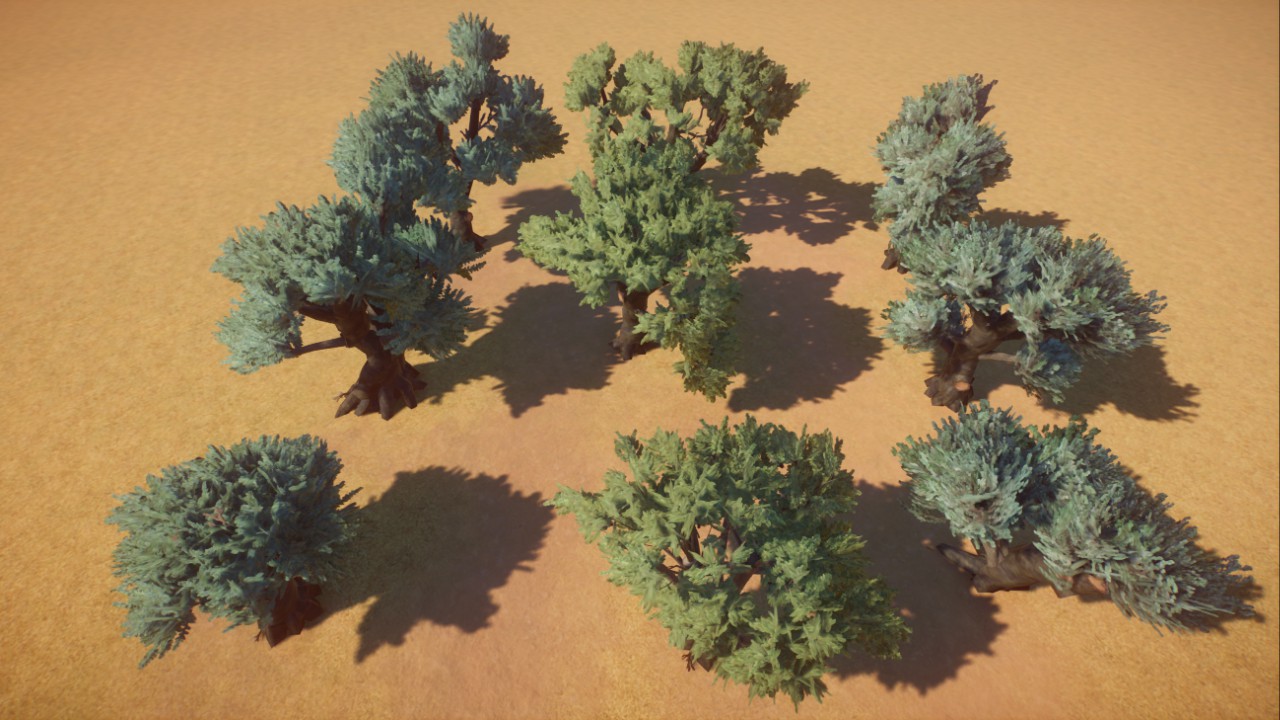 Custom Olive Trees