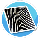 Zebra Rug