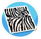 Zebra Rug 2