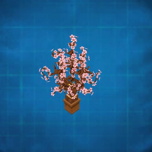 Epic's Plum Blossom in a pot (topiary tree)