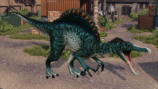 Atlantic Spino