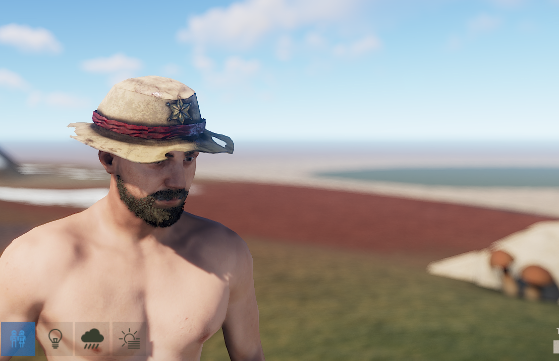 Cowboy Hat