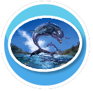 Ecco the Dolphin Oval Rug
