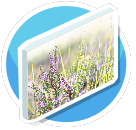 Lavender (1)