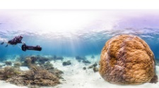 Under water