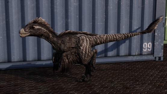 Gray Dual Novaraptor