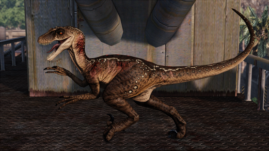 Warmonger Novaraptor