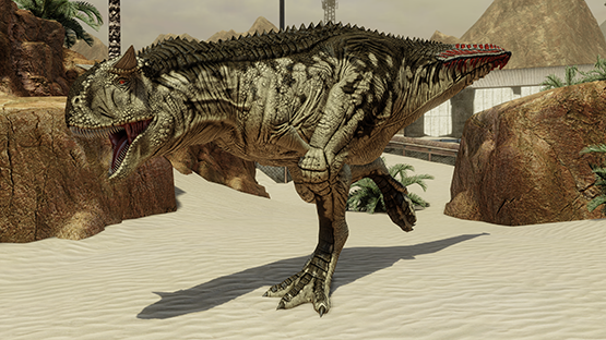 Silica Carno