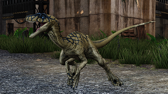 Wayward Novaraptor