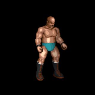 Iron Sheik