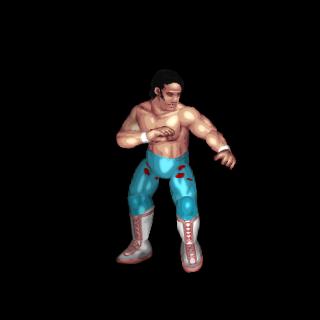 Honky Tonk Man