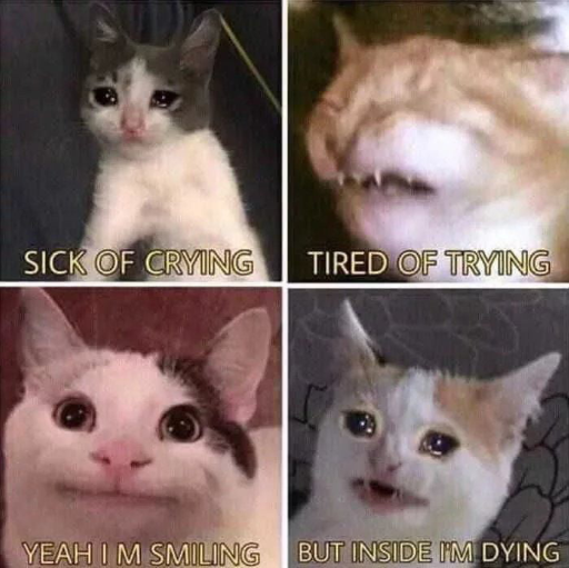Cat emotions