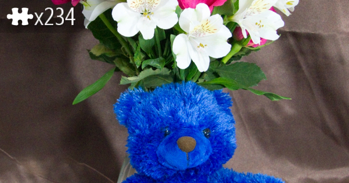 flowers . teddy