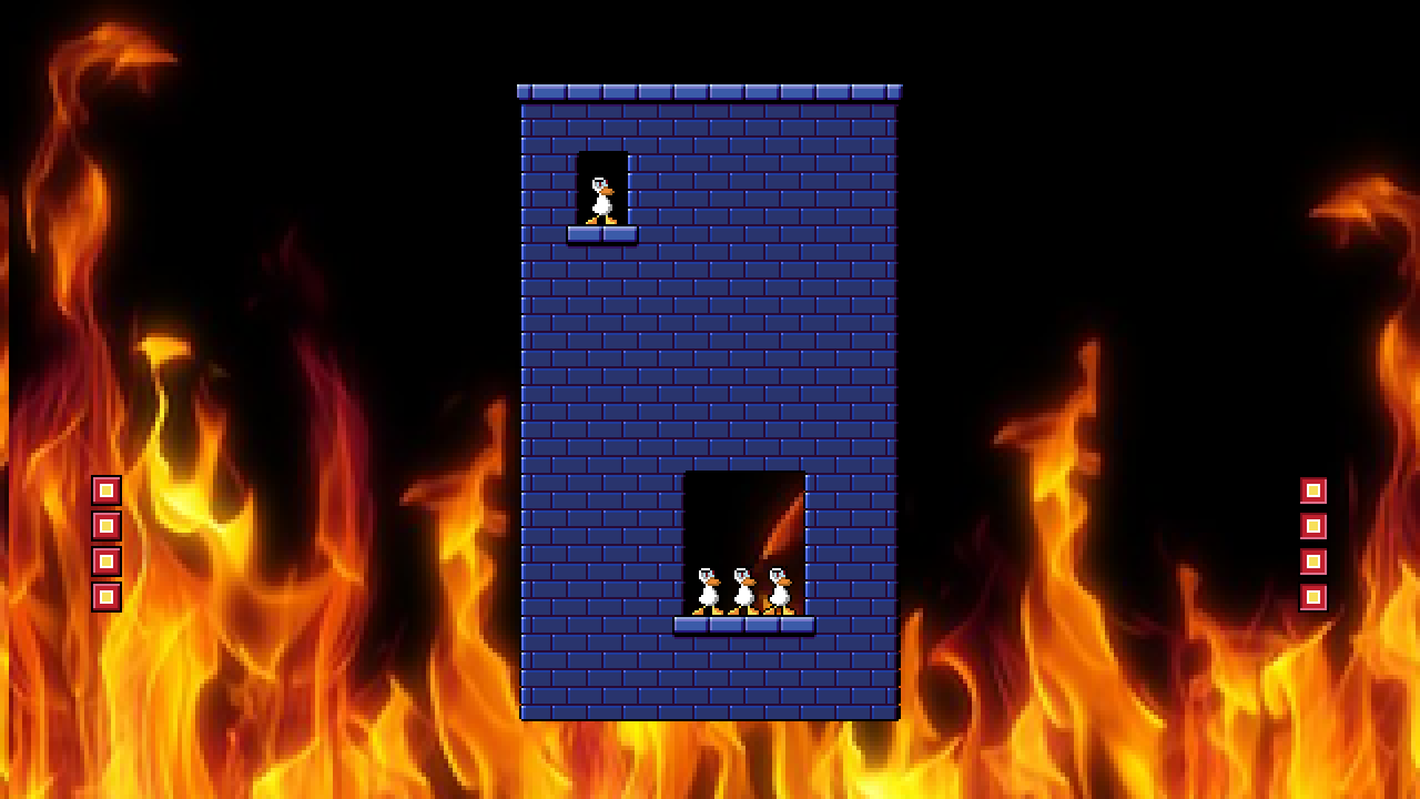 Three roasted ducks