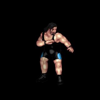 Rhyno