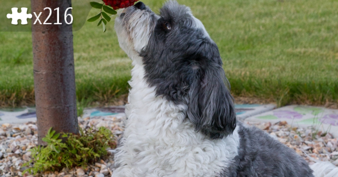 Stop and smell the berries