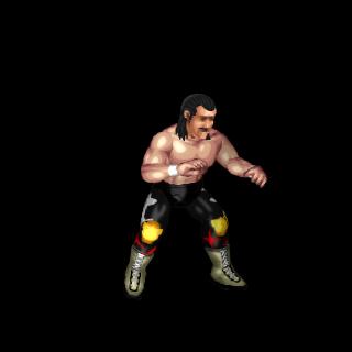 Jake Roberts