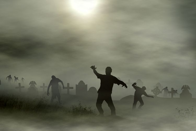 Fog Island Zombies (updated)