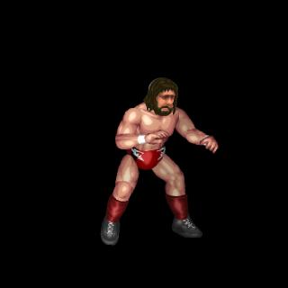 Daniel Bryan