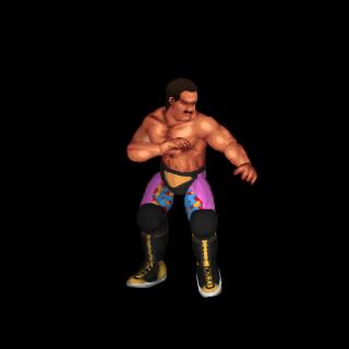 Rick Rude