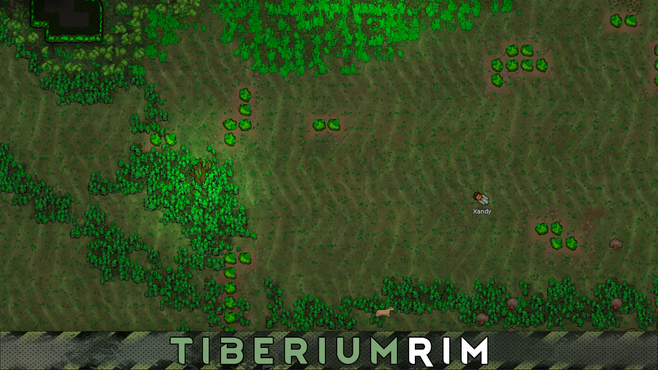 Screenshot 13
