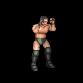(FPR) Naoya Ogawa