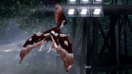 Moth Tupa