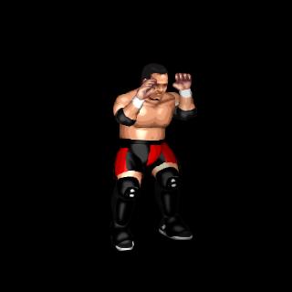 Samoa Joe