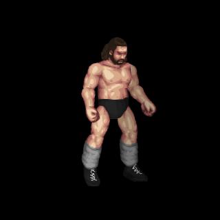 Bruiser Brody