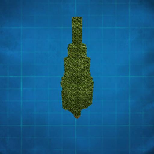 Cypress (cupressus)