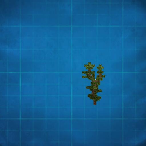Small Needle Tree